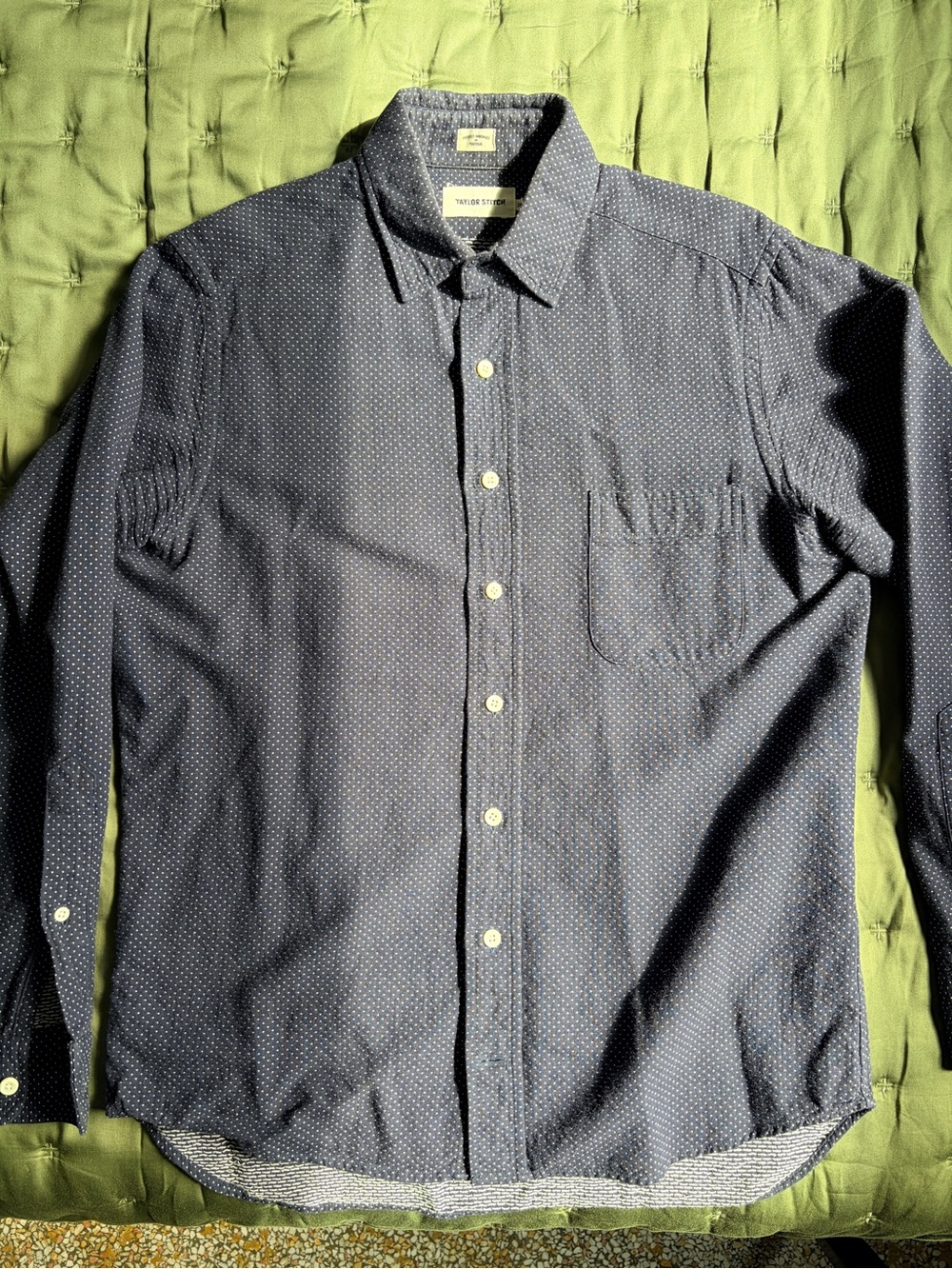 Taylor Stitch Navy Micro dot Button-Down Shirt